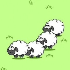 羊了个羊你玩了没！真的太难了！